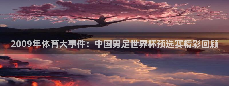 2009年体育大事件：中国男足世界杯预选赛精彩回顾