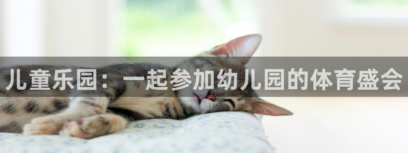 儿童乐园：一起参加幼儿园的体育盛会