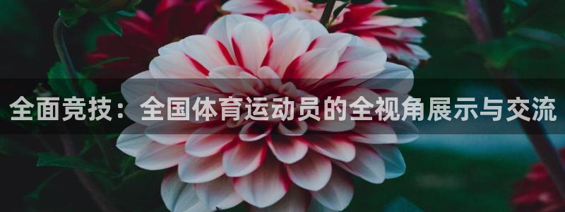全面竞技：全国体育运动员的全视角展示与交流
