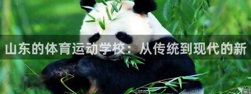 山东的体育运动学校：从传统到现代的新