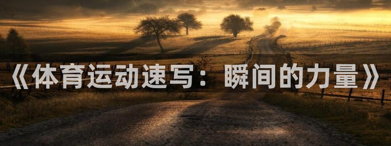 《体育运动速写：瞬间的力量》