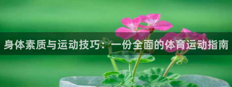 身体素质与运动技巧：一份全面的体育运动指南