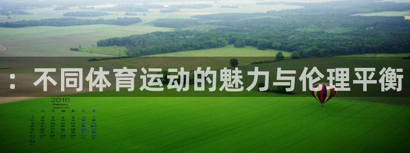 ：不同体育运动的魅力与伦理平衡