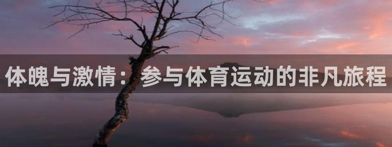 体魄与激情：参与体育运动的非凡旅程